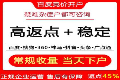 百度推广代理商服务优势案例分析